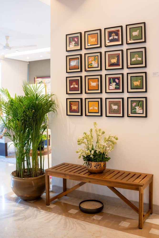 Indigofera exhibition moment