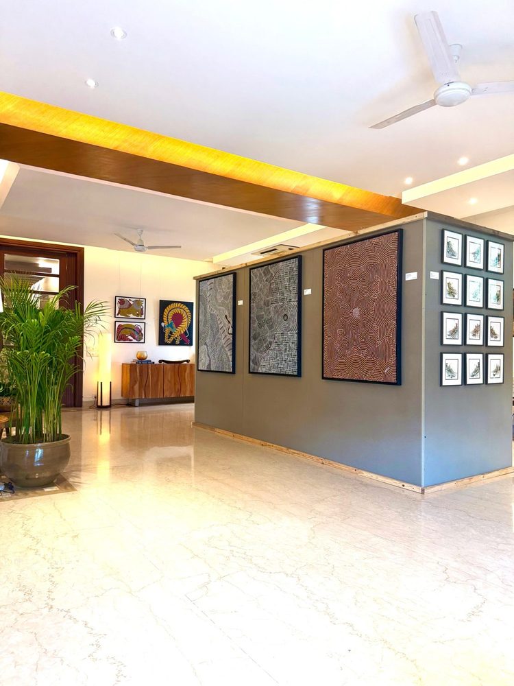 Indigofera exhibition moment