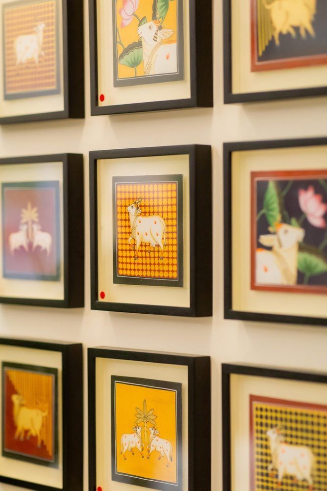 Indigofera exhibition moment