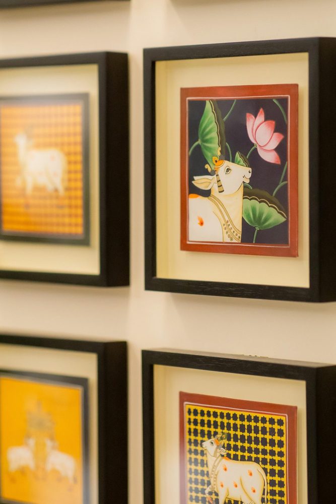 Indigofera exhibition moment